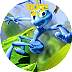 abugslife.jpg